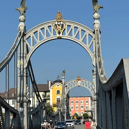 Vilma Antica * Laufen